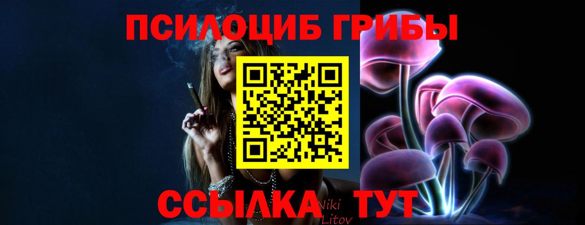 Псилоцибиновые грибы прущие грибы Домодедово